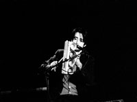 Festival Shows